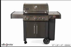bbq1.jpeg