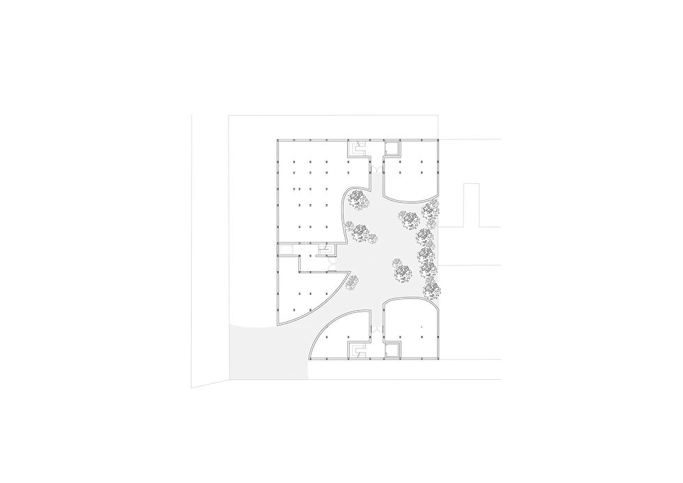 planta acceso