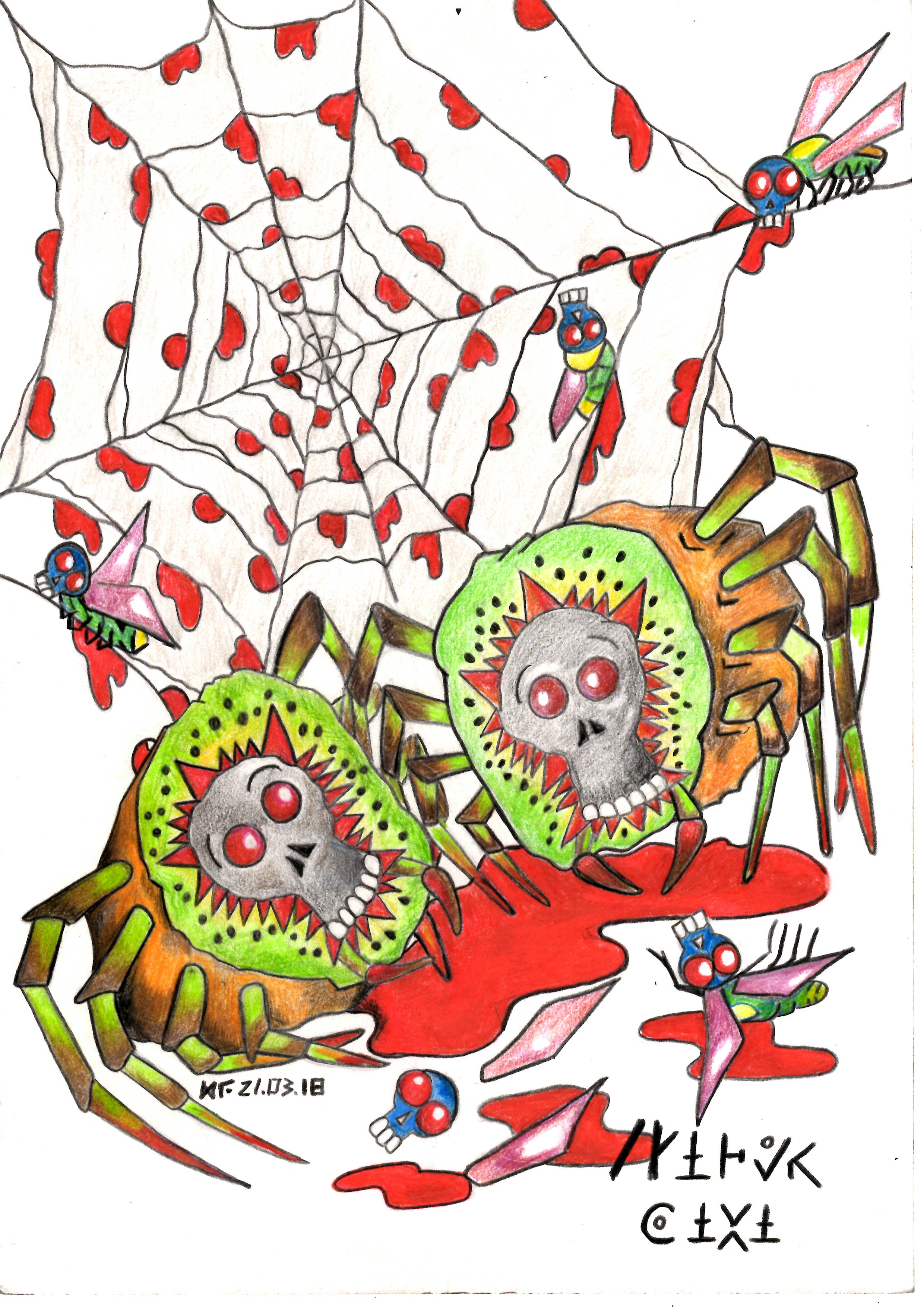 SPIDER KIWI
