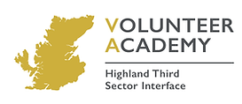 Vol Acad Logo main bg.png