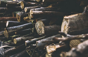 Firewood.jpg