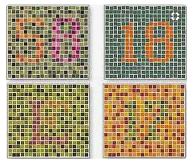 RED, GREEN, BLUE CONES and COLOUR BLINDNESS