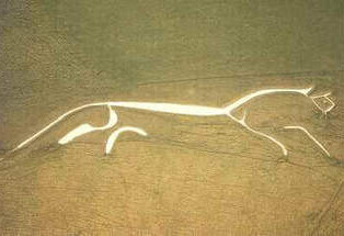 Animals in Art