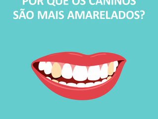 Caninos amarelados