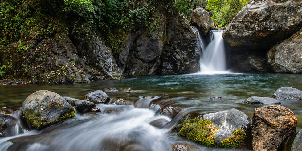 Waterfall and stream