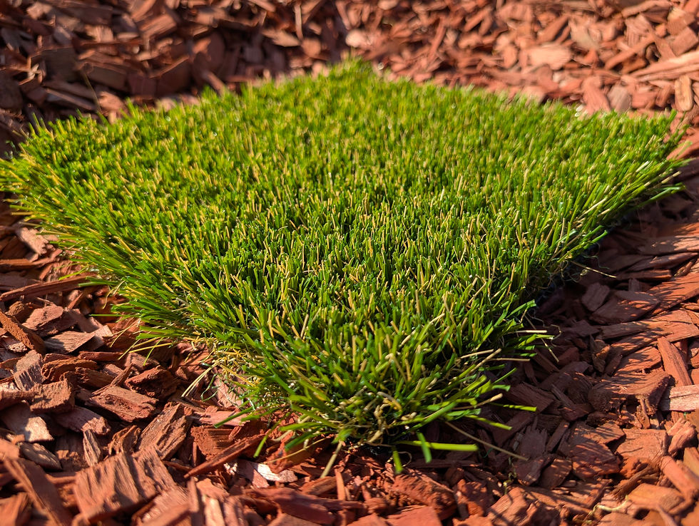 Viridian Solana 90 (1) (1)