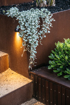 Sutherland-Shire-Corey-Fox-Landscaping-Kirrawee-Gardens