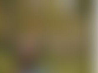 O que fazer quando nossos planos não dão certo...