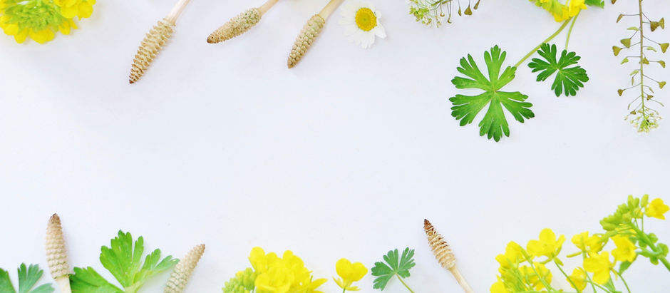 クリニックからのお知らせ