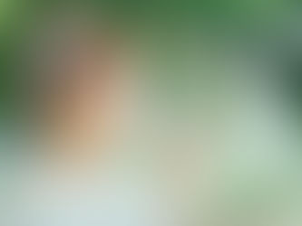 新生活、おいしいお水始めませんか？