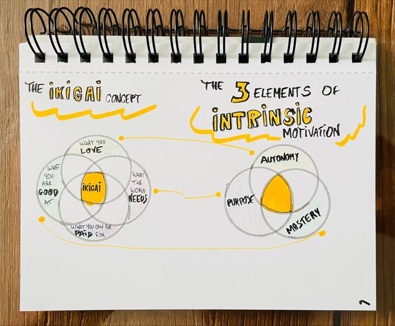 erik collard linkedin diagram comparing Ikigai and Daniel Pink's intrinsic motivation elements