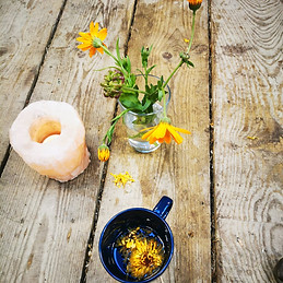 calendula.jpeg