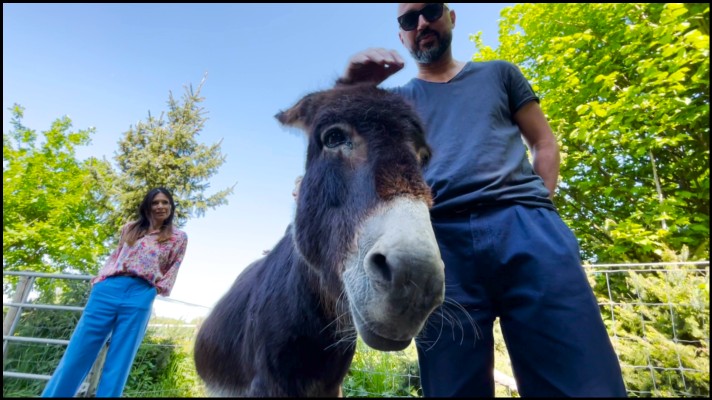 erik collard linkedin team at De Kampenhoeve Ster VZW donkey therapy nonprofit
