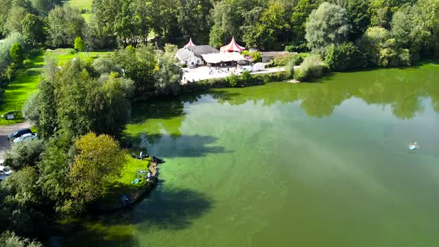 erik collard linkedin telenet digital engagement tribe team building activities