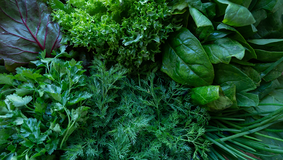 Antioxidanter, vitaminer, enzymer och spårämnen