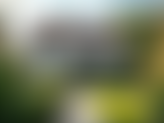 Current Property Market Insights in the UK