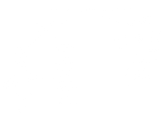 Ilustracioìn_sin_tiìtulo (10).png