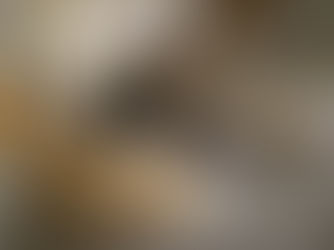 Routt County Fair Advisory Board doesn’t want skatepark on 'our dirt'