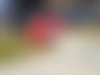 Routt County Election Results | RTA Formation passing everywhere