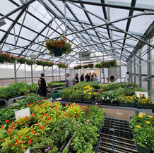 Schools: Toothaker, Lemmer win in Steamboat; Lucas, Da Silva elected in Hayden; SOROCO funding passes