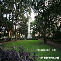 12. All Life Lies Here - text 3000 pix.jpg