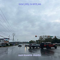 5. Rainclouds in Opryland - text 3000.jpg