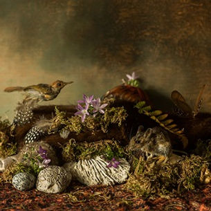 Marie-Jeanne van Hövell tot Westerflier