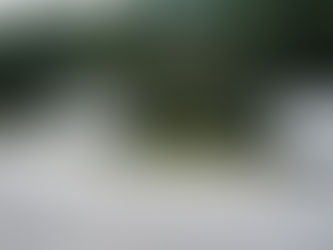 Falcon's Nest FamCamp, Shaw AFB, SC | Featured Military Camping Facility