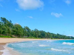 Bellows AFS Recreation Area, HI | Featured Military Camping Facility