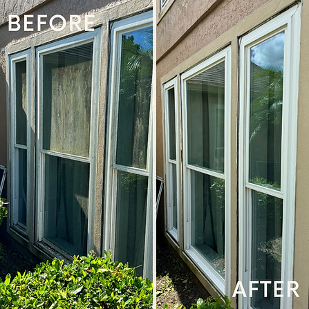 Before and After Window Cleaning