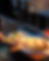 1M8A2355-2.jpg