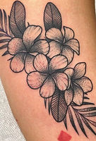 TattooLicious Hawaii | Amazing Hawaii Tattoo Artists | Tattoo Shop Honolulu