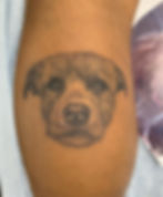 Shaggy dog portrait done by Zee at Tattoolicious Hawaii