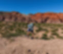 DJI_20260325103841_0259_D_edited.jpg