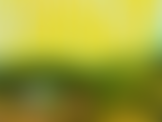 Louis Tomlinson presenta el primer adelanto y revela el título de su próximo álbum