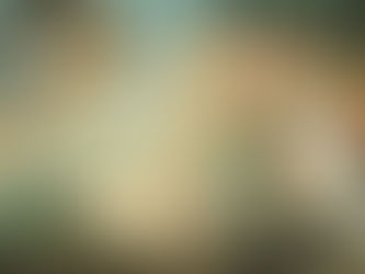 Tullia d'aragon, pensée d'une courtisane de la renaissance