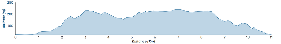 Profil_11km.png