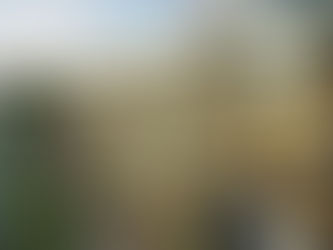 БАЛЬ ПАД ЧАС ЧУМЫ