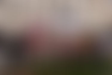 БЕЛАРУСЫ ПРАТЭСТУЮЦЬ