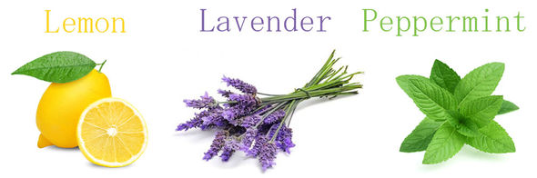 Surviving Seasonal Allergies Using Essential Oils