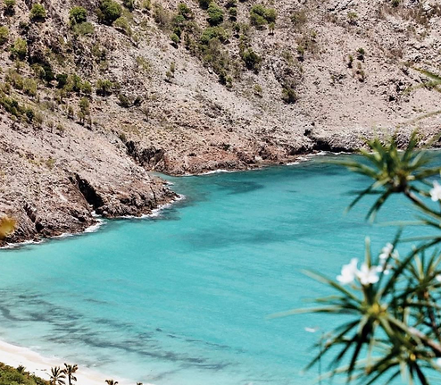 PROGRAMME
DEEP DETOX de Saint-Barth Longevity