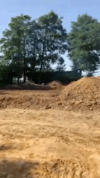 photo 08-09-2022, 11 44 57.gif