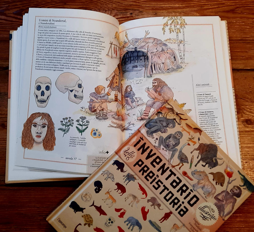 Miniatura: Inventario illustrato della preistoria