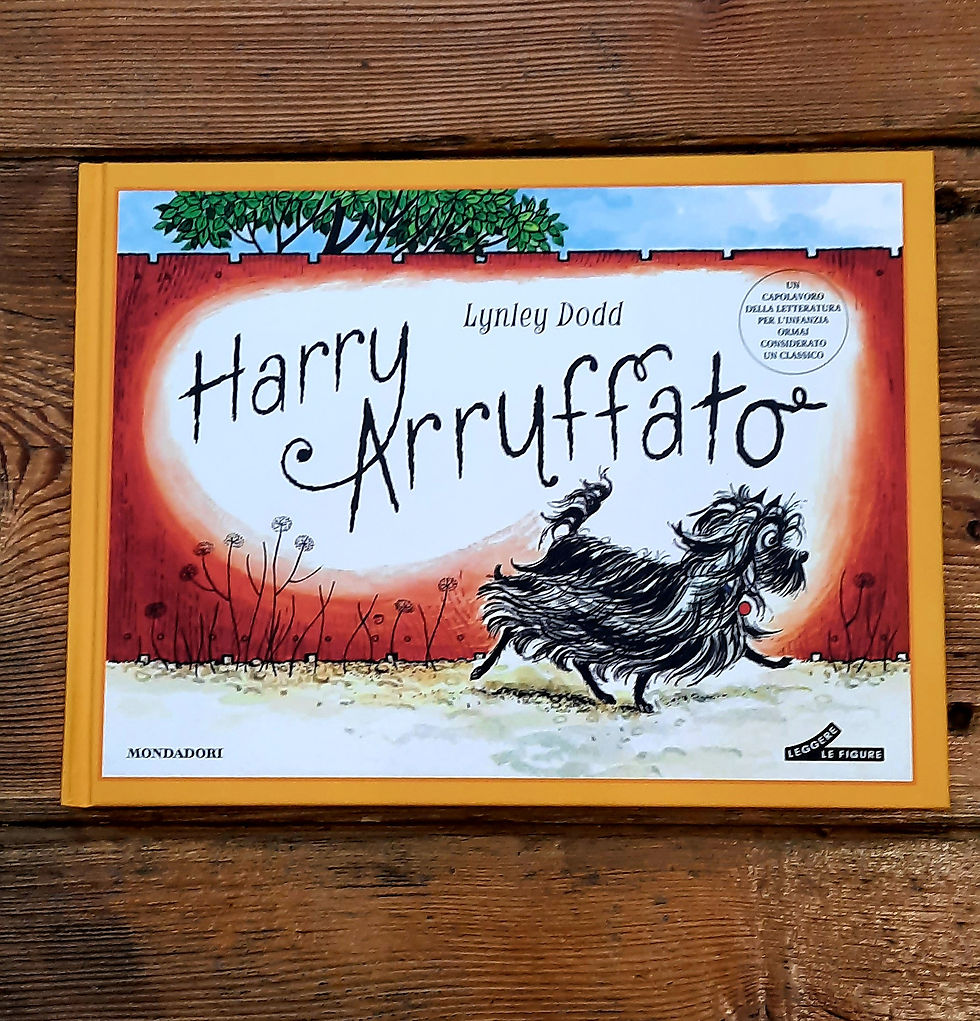 Harry Arruffato