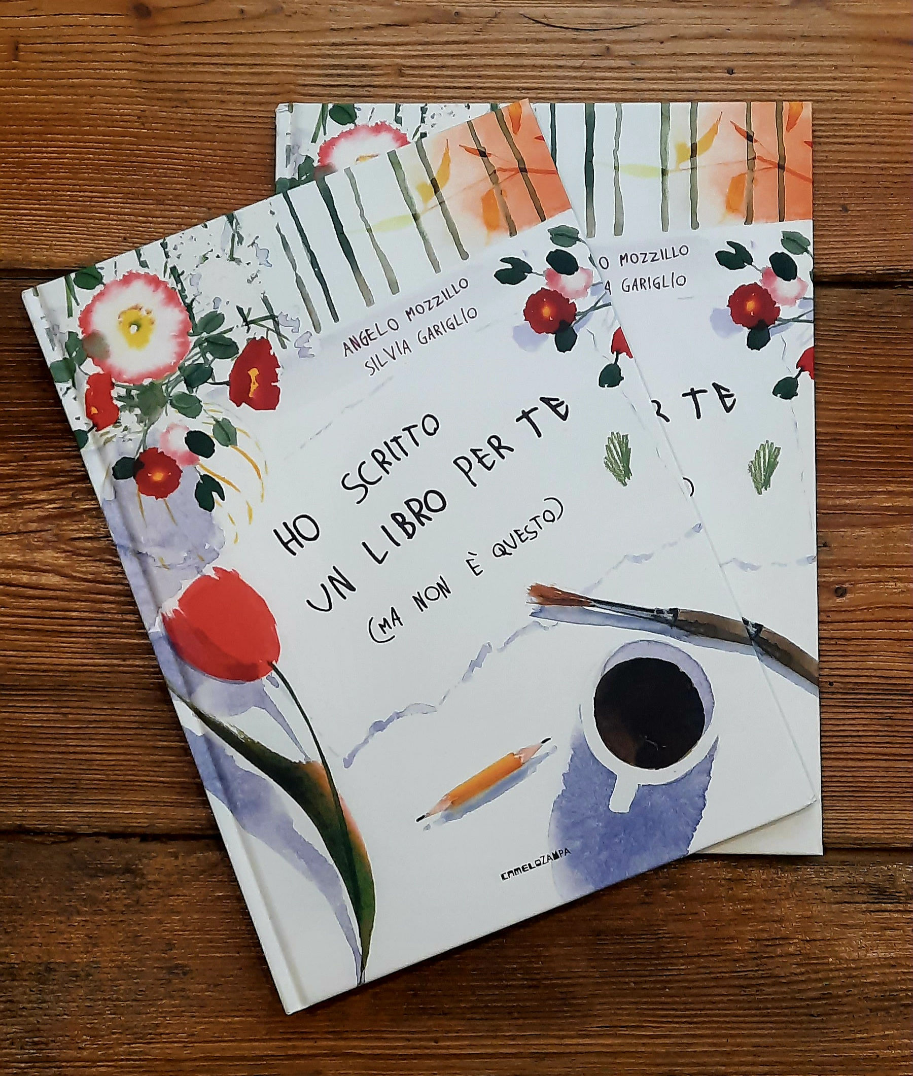 Ho scritto un libro per te (ma non è questo)