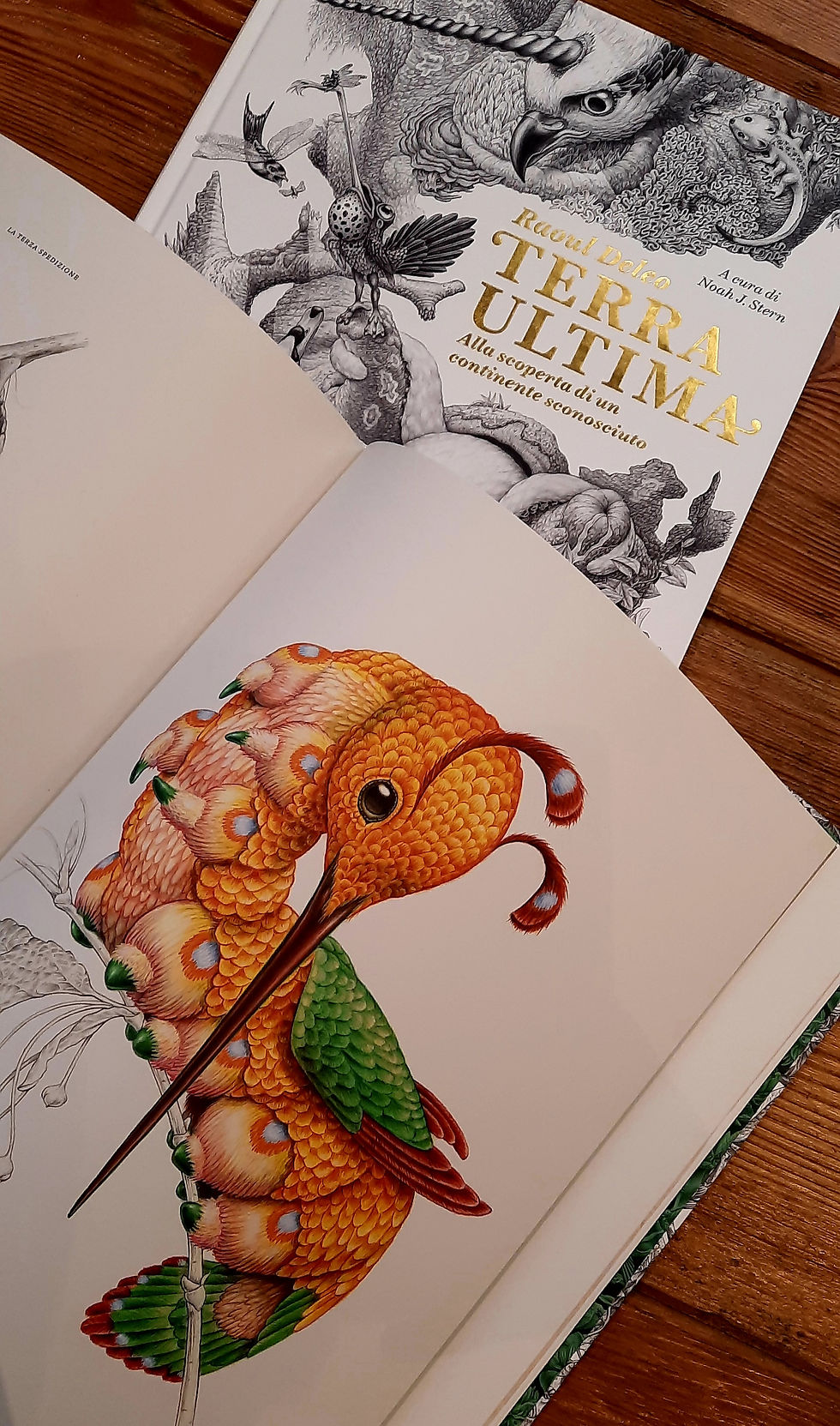 Miniatura: Terra Ultima