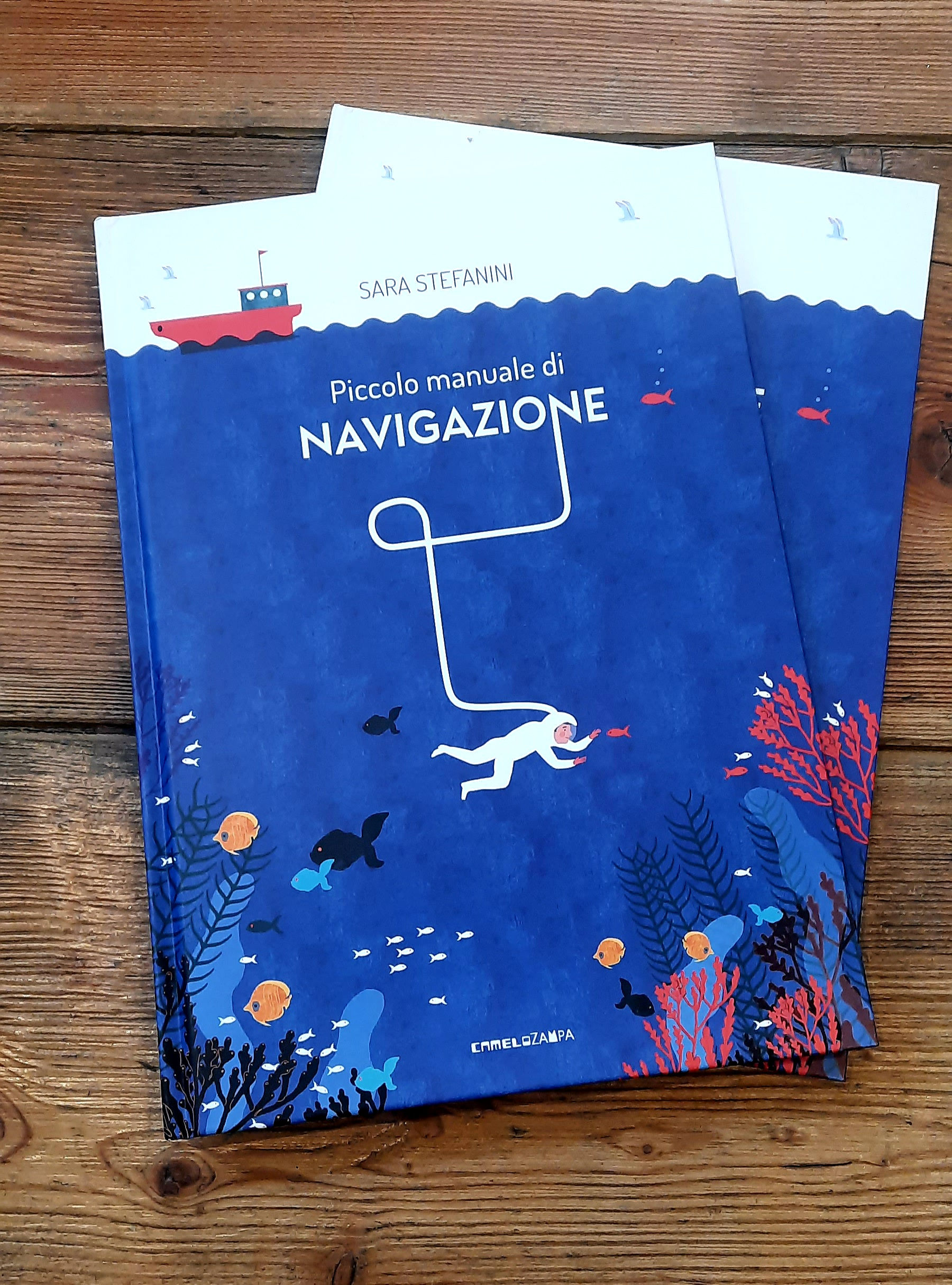 Piccolo manuale di navigazione