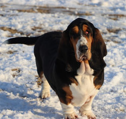 20230123010511_IMG_0421