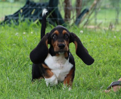 20210807182814_IMG_9498