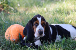 20210915222453_IMG_1022